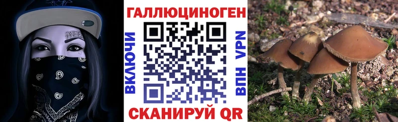 купить наркотики сайты Десногорск Псилоцибиновые грибы прущие грибы